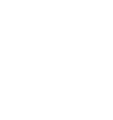 NYXIS Logo